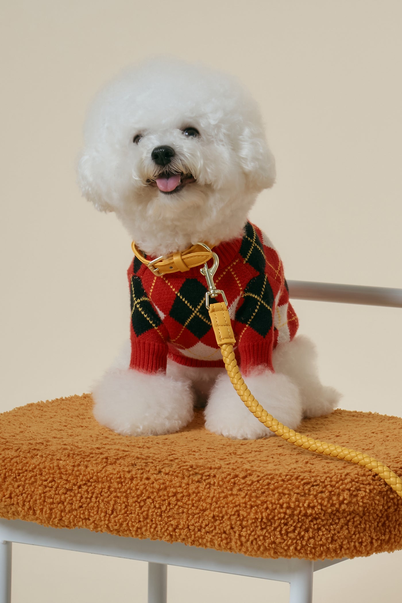 storets.com [COSONNE] Braided Neck Collar(for pet)