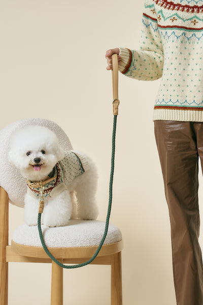 storets.com [COSONNE] Braided Colorblocker Pet Leash(for pet)