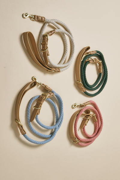 storets.com [COSONNE] Braided Colorblocker Pet Leash(for pet)