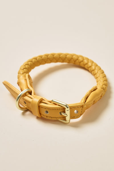 storets.com [COSONNE] Braided Neck Collar(for pet)