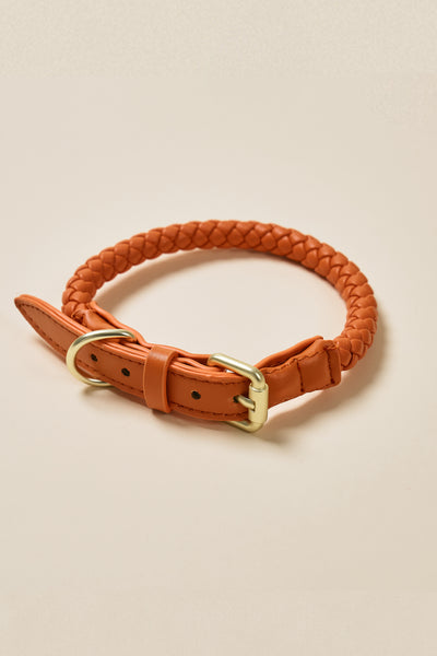 storets.com [COSONNE] Braided Neck Collar(for pet)