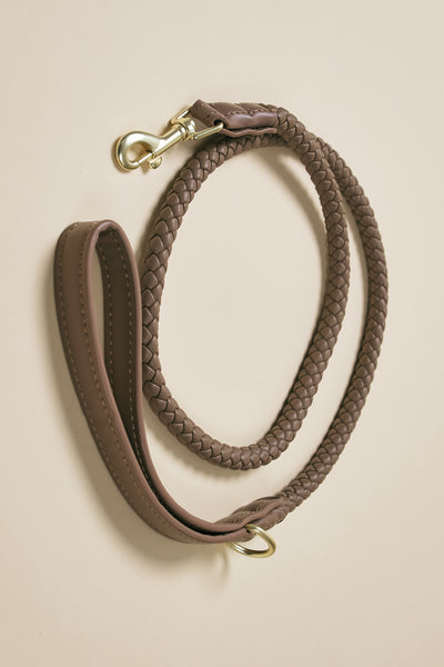 storets.com [COSONNE] Braided Pet Leash(for pet)