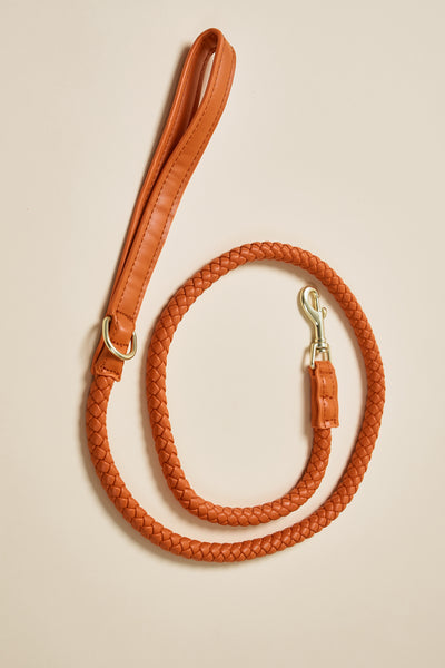 storets.com [COSONNE] Braided Pet Leash(for pet)