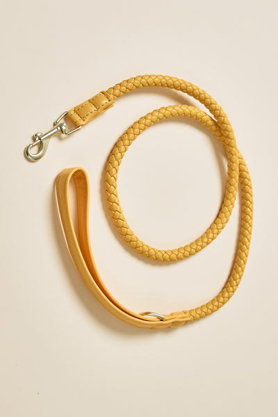 storets.com [COSONNE] Braided Pet Leash(for pet)