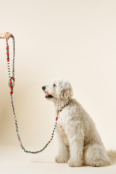 storets.com [COSONNE] Candycane Macrame Hands Free Pet Leash(for pet)