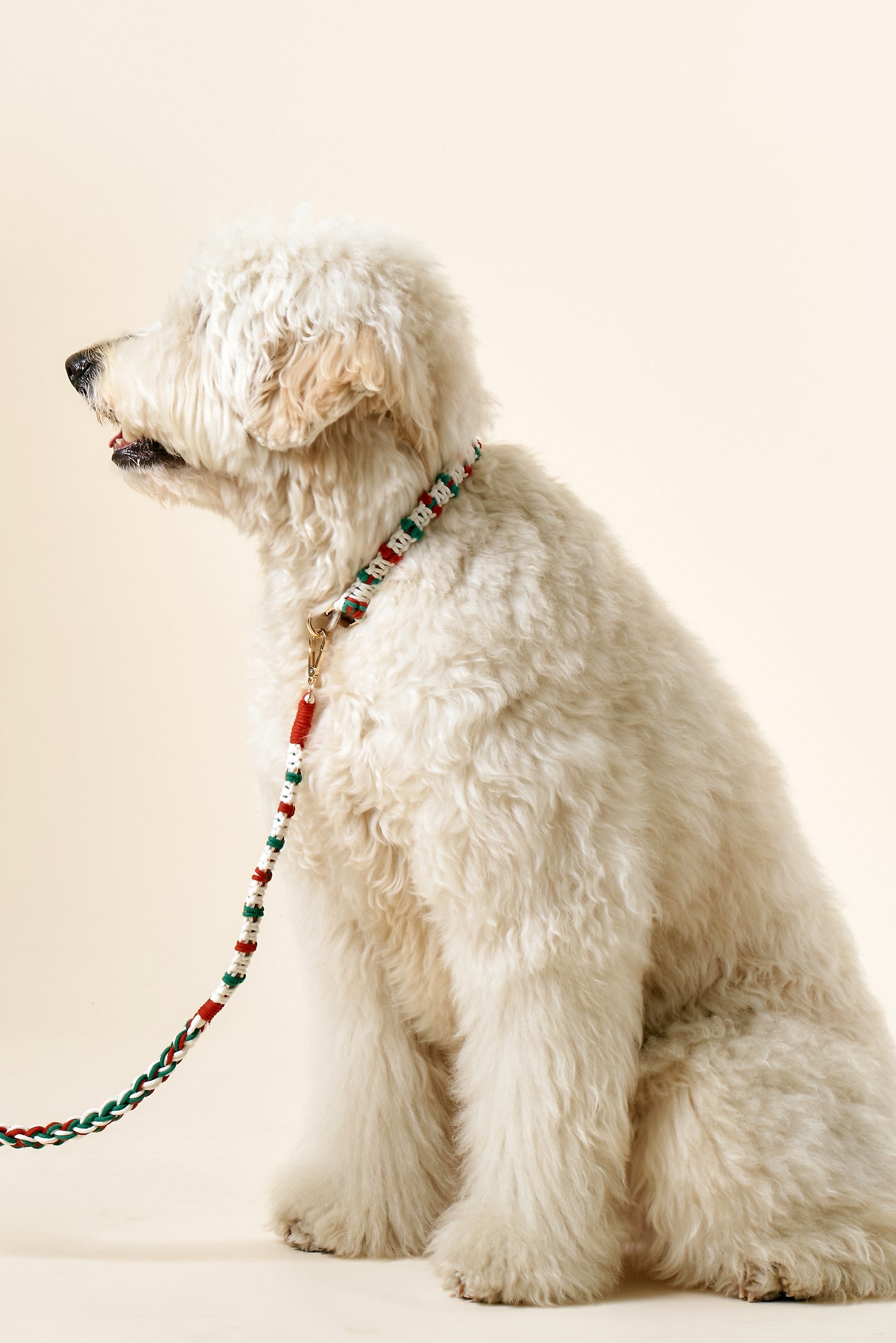 storets.com [COSONNE] Candycane Macrame Neck Collar(for pet)