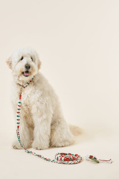 storets.com [COSONNE] Candycane Macrame Neck Collar(for pet)