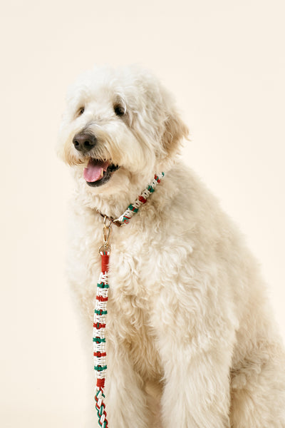 storets.com [COSONNE] Candycane Macrame Neck Collar(for pet)