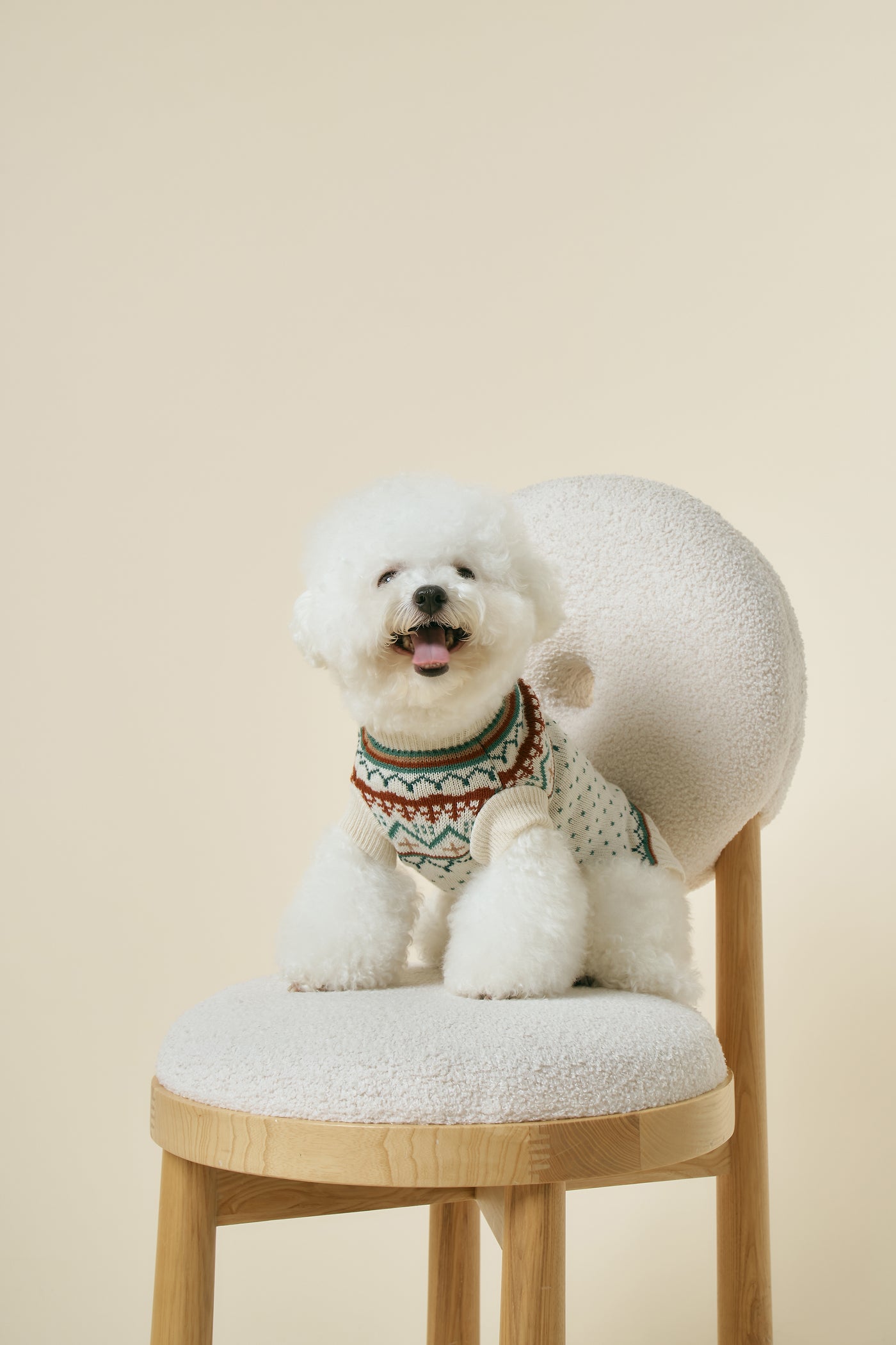storets.com [STORETS X COSONNE] Fair Isle Retro Pet Sweater(for pet)