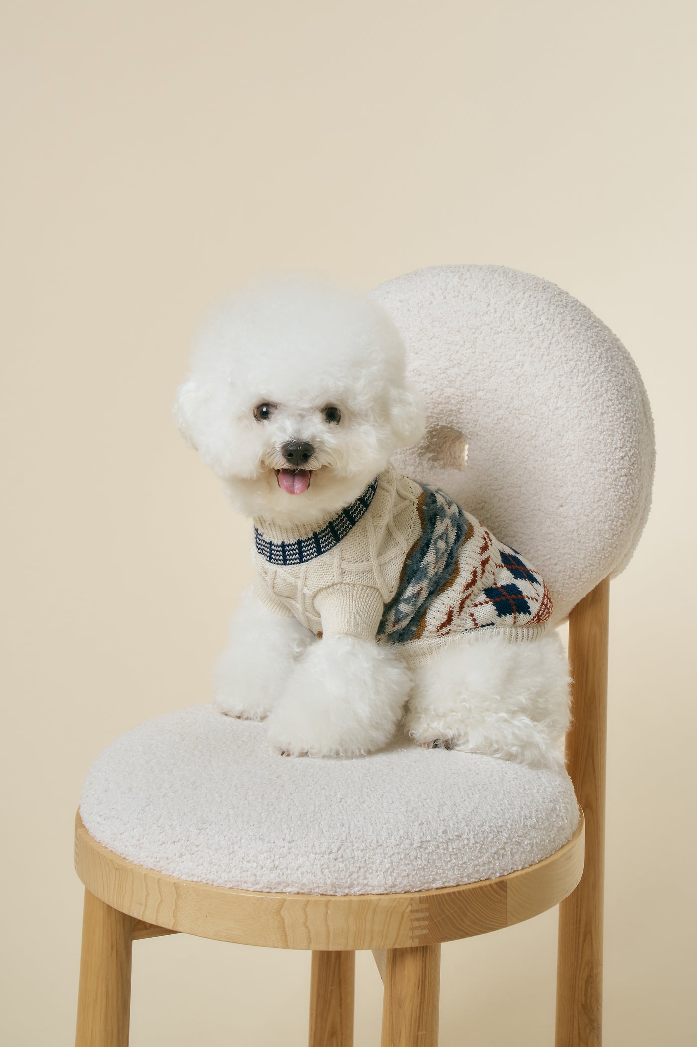 storets.com [STORETS X COSONNE] Fair Isle Granny Pet Sweater(for pet)