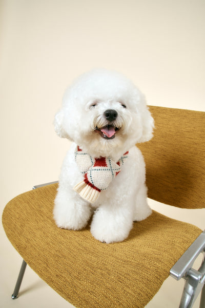 storets.com [STORETS X COSONNE] Knitted Pet Neck Scarf(for pet)