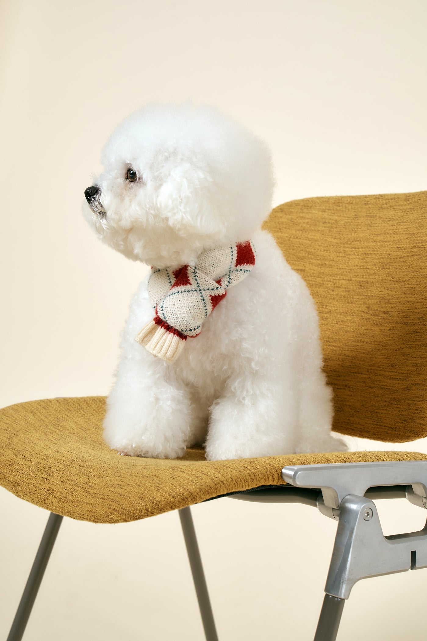 storets.com [STORETS X COSONNE] Knitted Pet Neck Scarf(for pet)