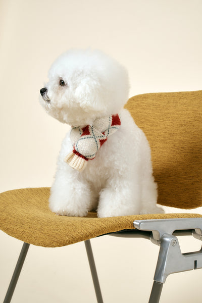 storets.com [STORETS X COSONNE] Knitted Pet Neck Scarf(for pet)