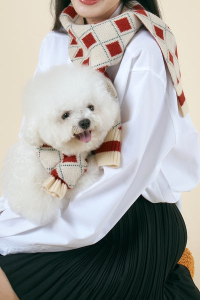 storets.com [STORETS X COSONNE] Knitted Pet Neck Scarf(for pet)
