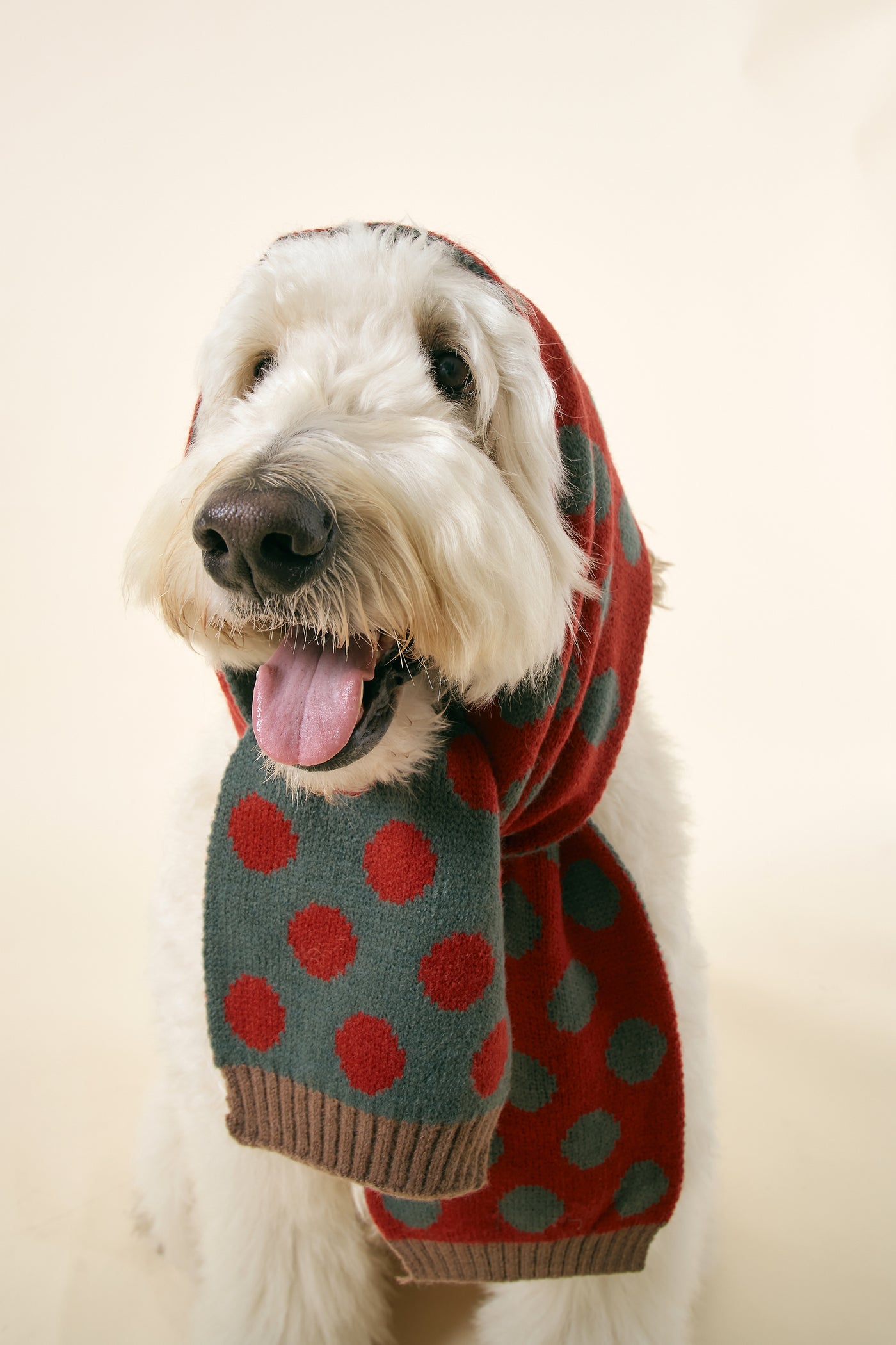 storets.com [STORETS X COSONNE] Knitted Neck Scarf