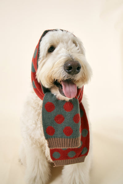 storets.com [STORETS X COSONNE] Knitted Neck Scarf