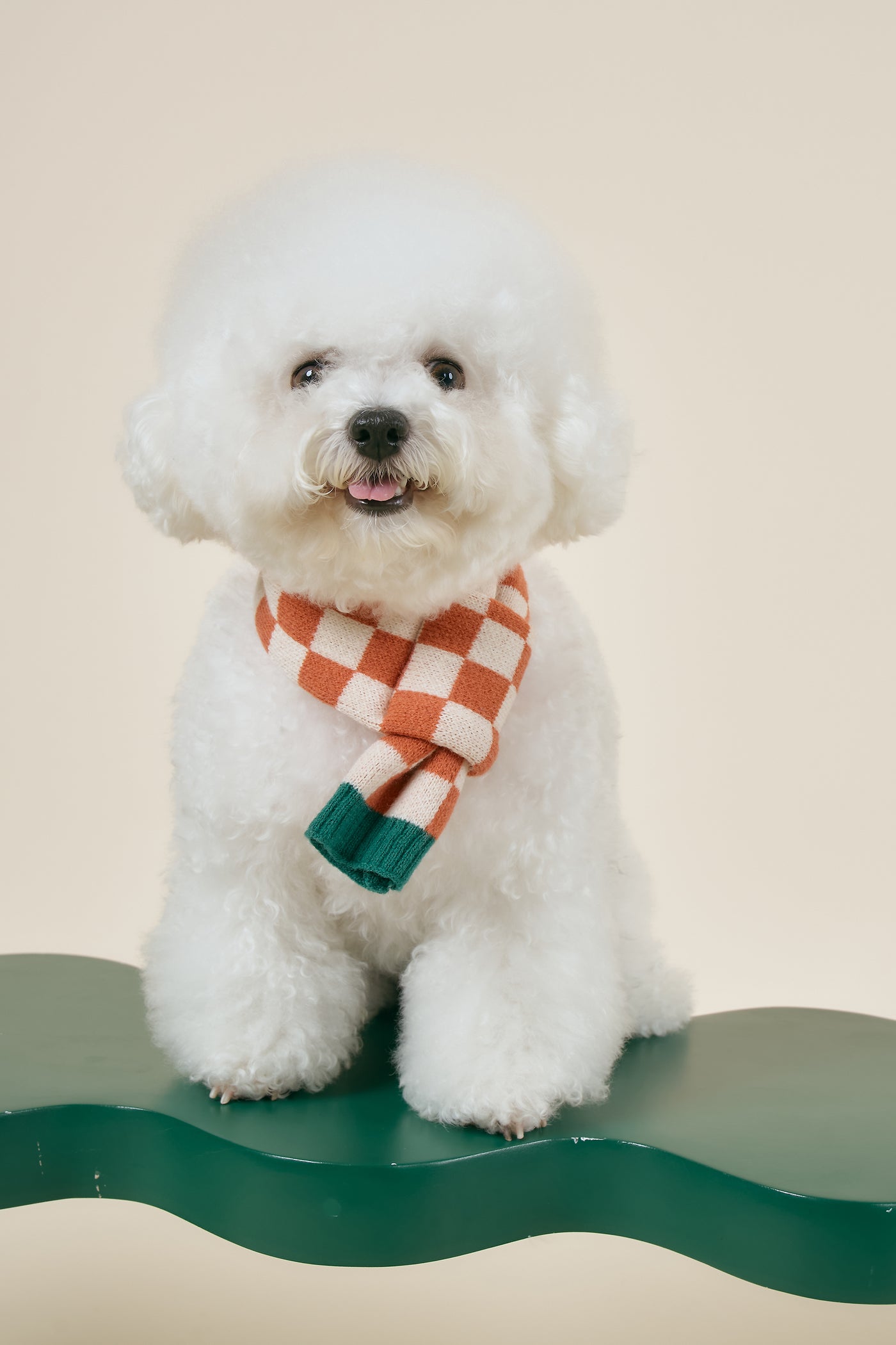 storets.com [STORETS X COSONNE] Knitted Pet Neck Scarf(for pet)