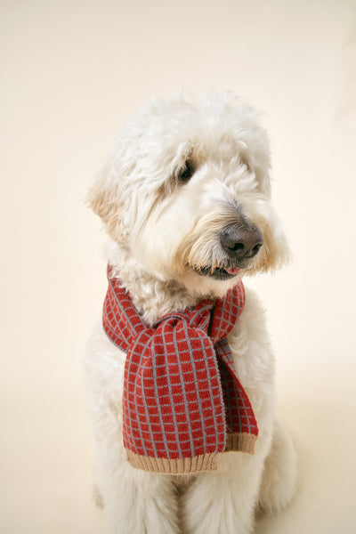 storets.com [STORETS X COSONNE] Knitted Neck Scarf