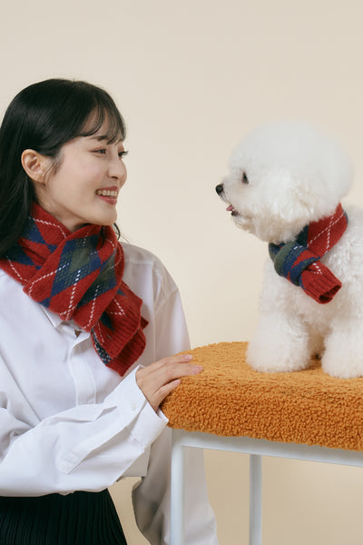 storets.com [STORETS X COSONNE] Knitted Pet Neck Scarf(for pet)