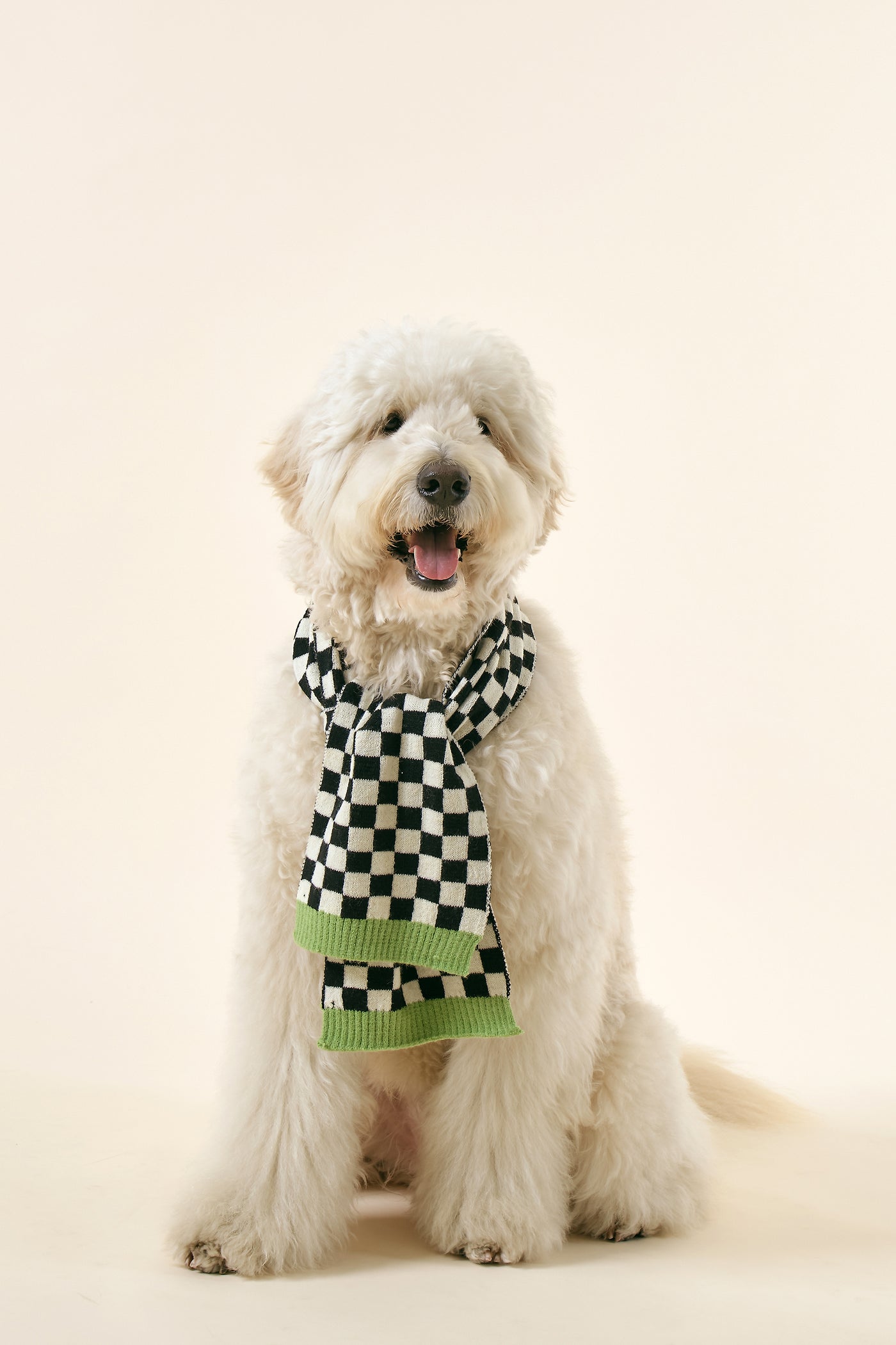 storets.com [STORETS X COSONNE] Knitted Neck Scarf