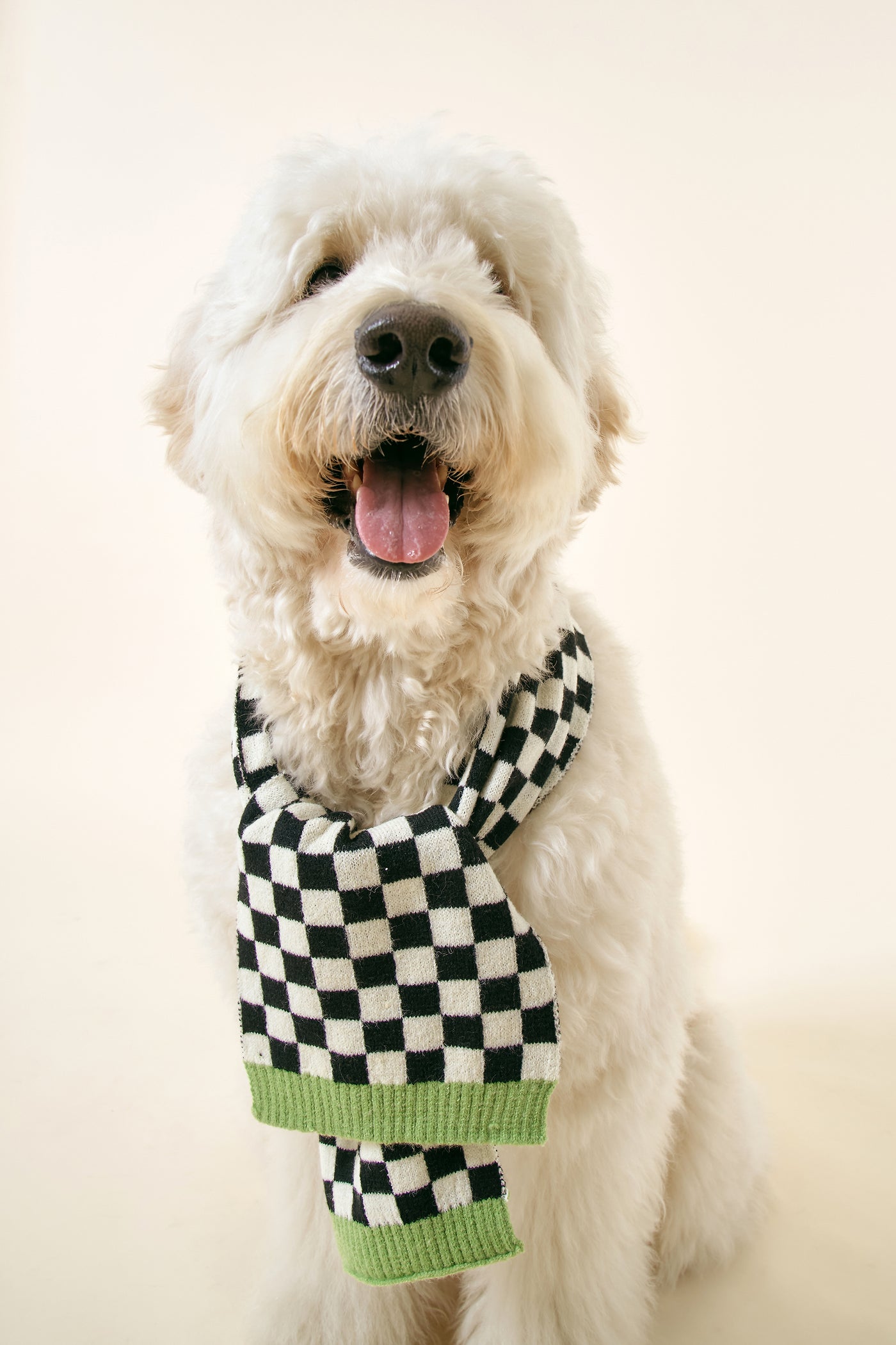 storets.com [STORETS X COSONNE] Knitted Neck Scarf