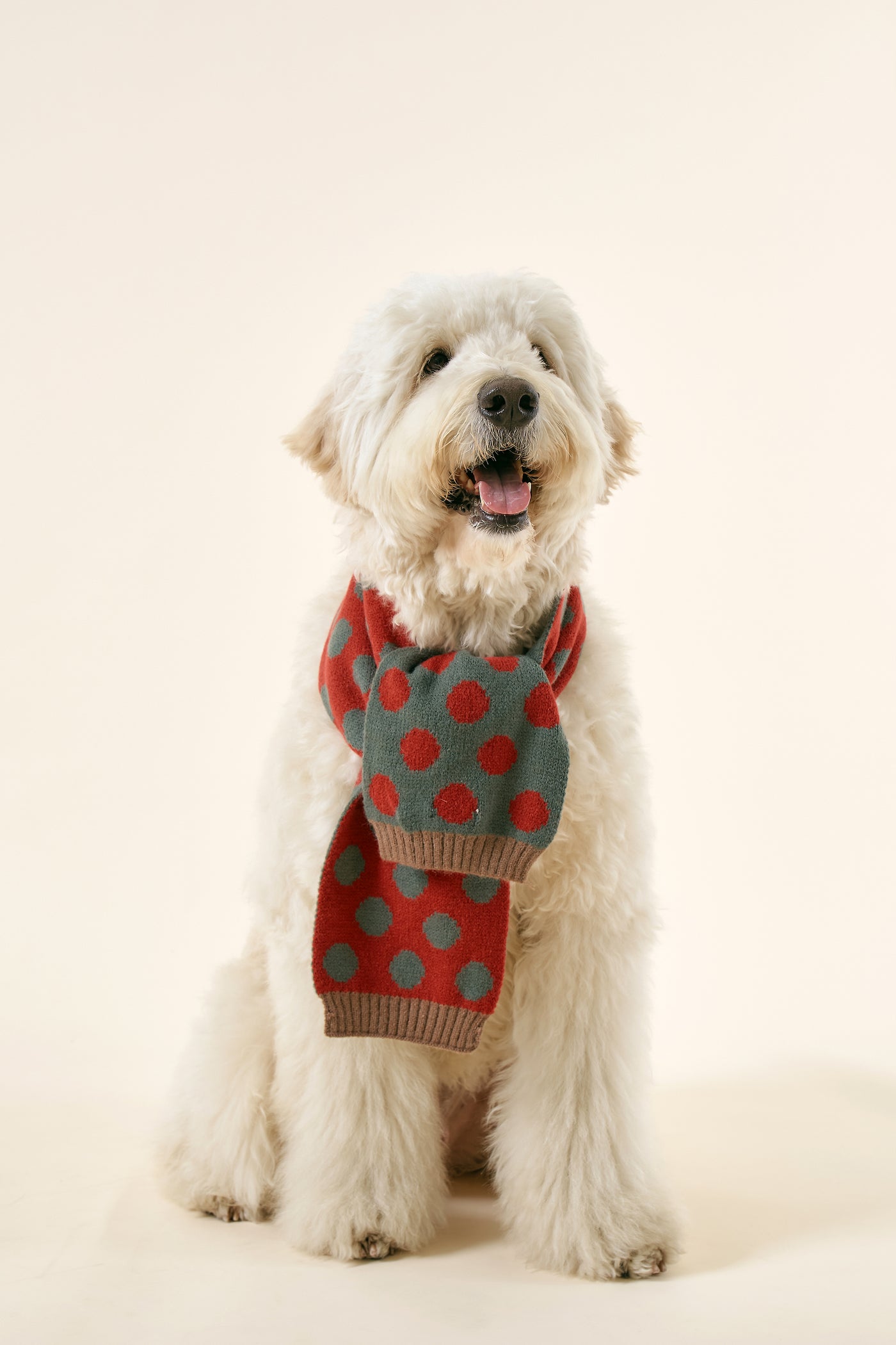 storets.com [STORETS X COSONNE] Knitted Neck Scarf