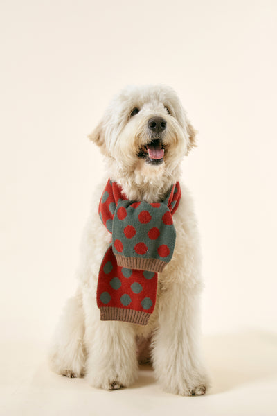 storets.com [STORETS X COSONNE] Knitted Neck Scarf