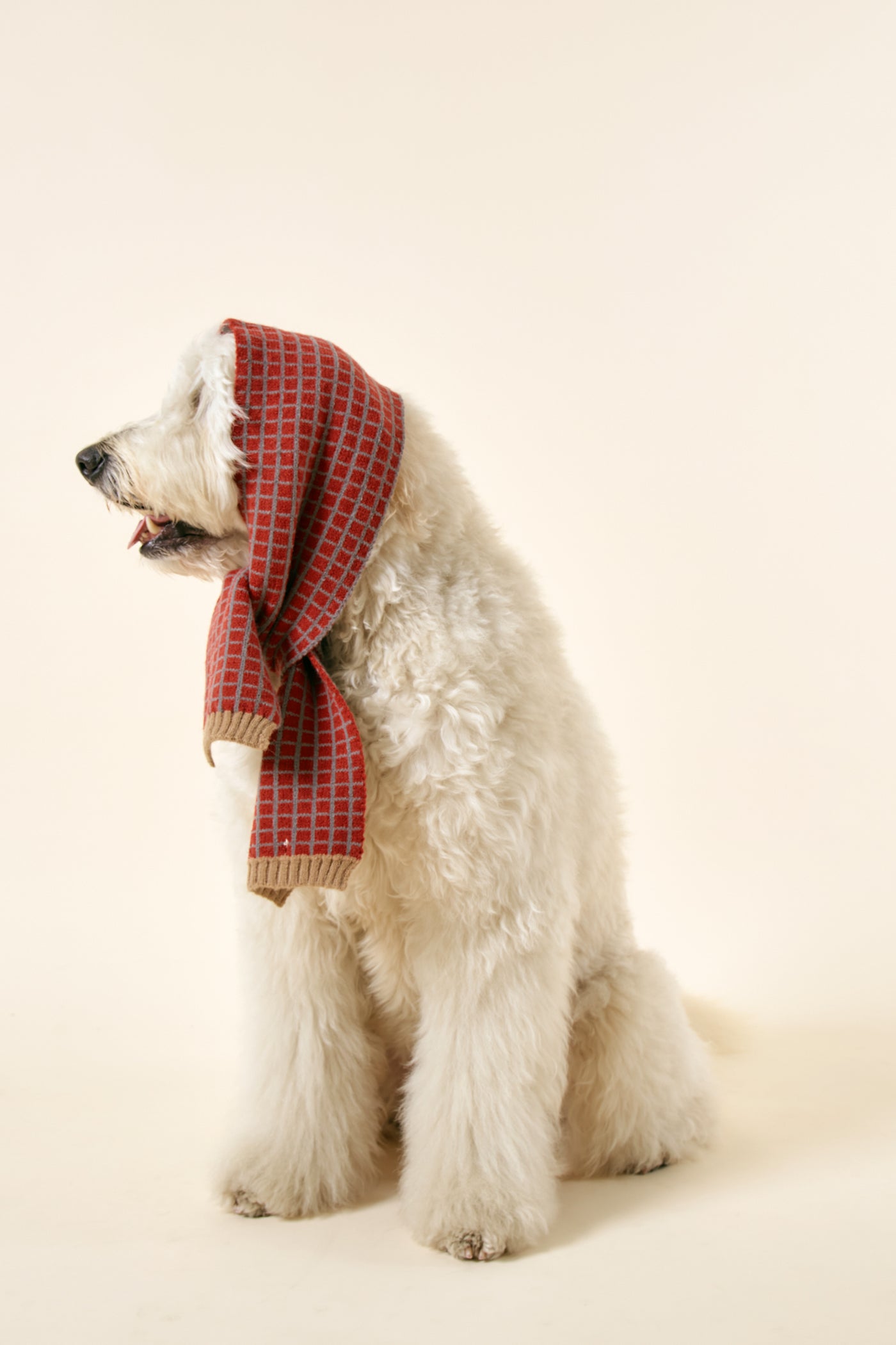 storets.com [STORETS X COSONNE] Knitted Neck Scarf