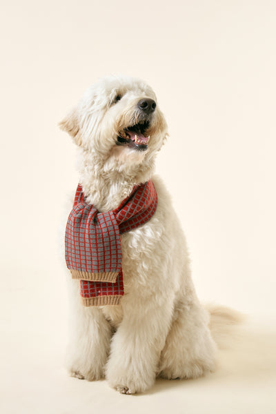 storets.com [STORETS X COSONNE] Knitted Neck Scarf