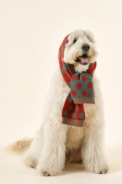 storets.com [STORETS X COSONNE] Knitted Neck Scarf