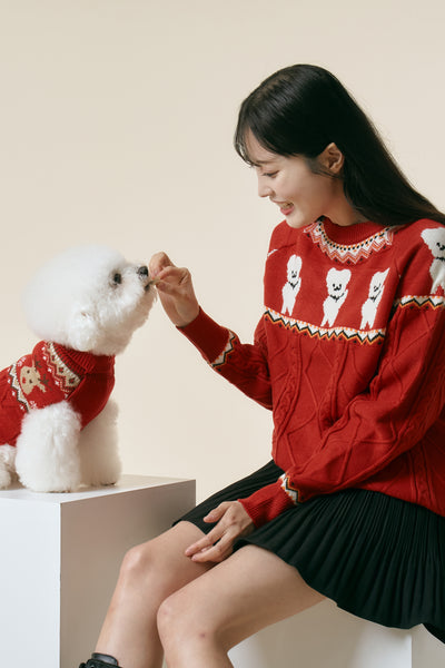 storets.com [STORETS X COSONNE] Teddy Ugly Pet Sweater(for pet)