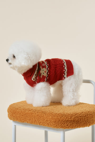 storets.com [STORETS X COSONNE] Teddy Ugly Pet Sweater(for pet)