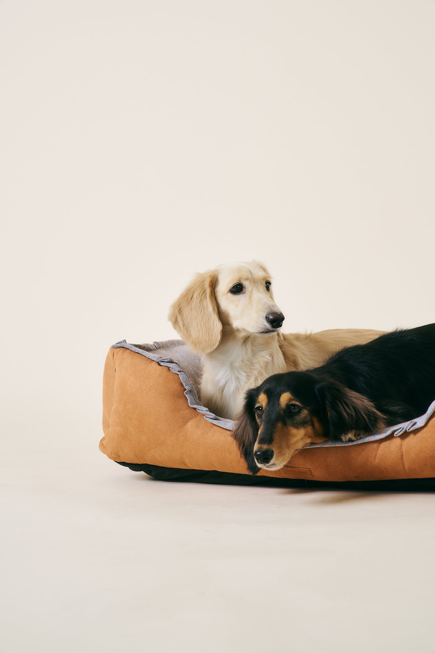 storets.com [COSONNE] Herringbone Pet Bed