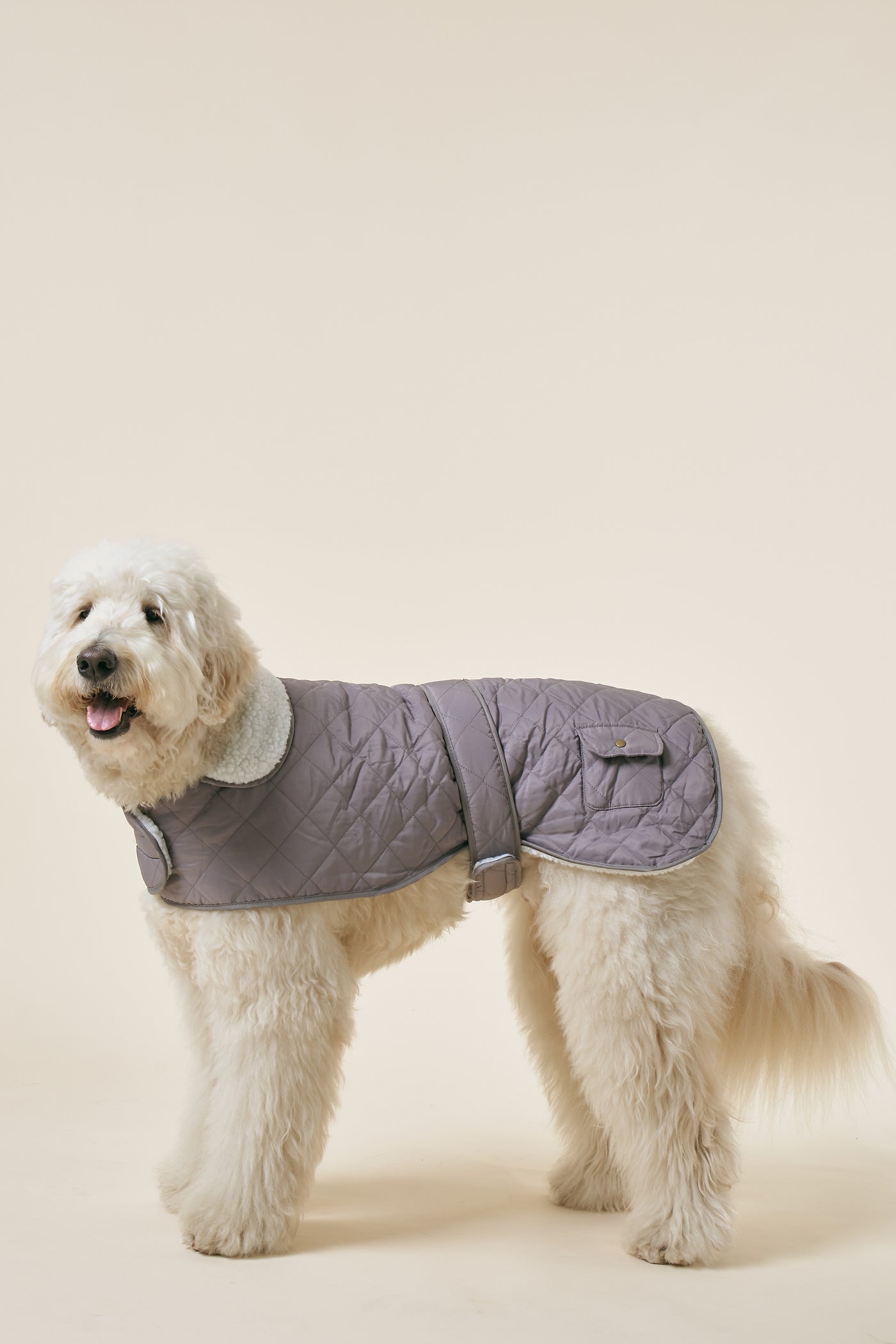 storets.com [COSONNE] Winter Quilting Coat(for pet)
