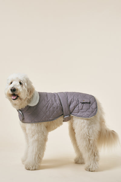 storets.com [COSONNE] Winter Quilting Coat(for pet)
