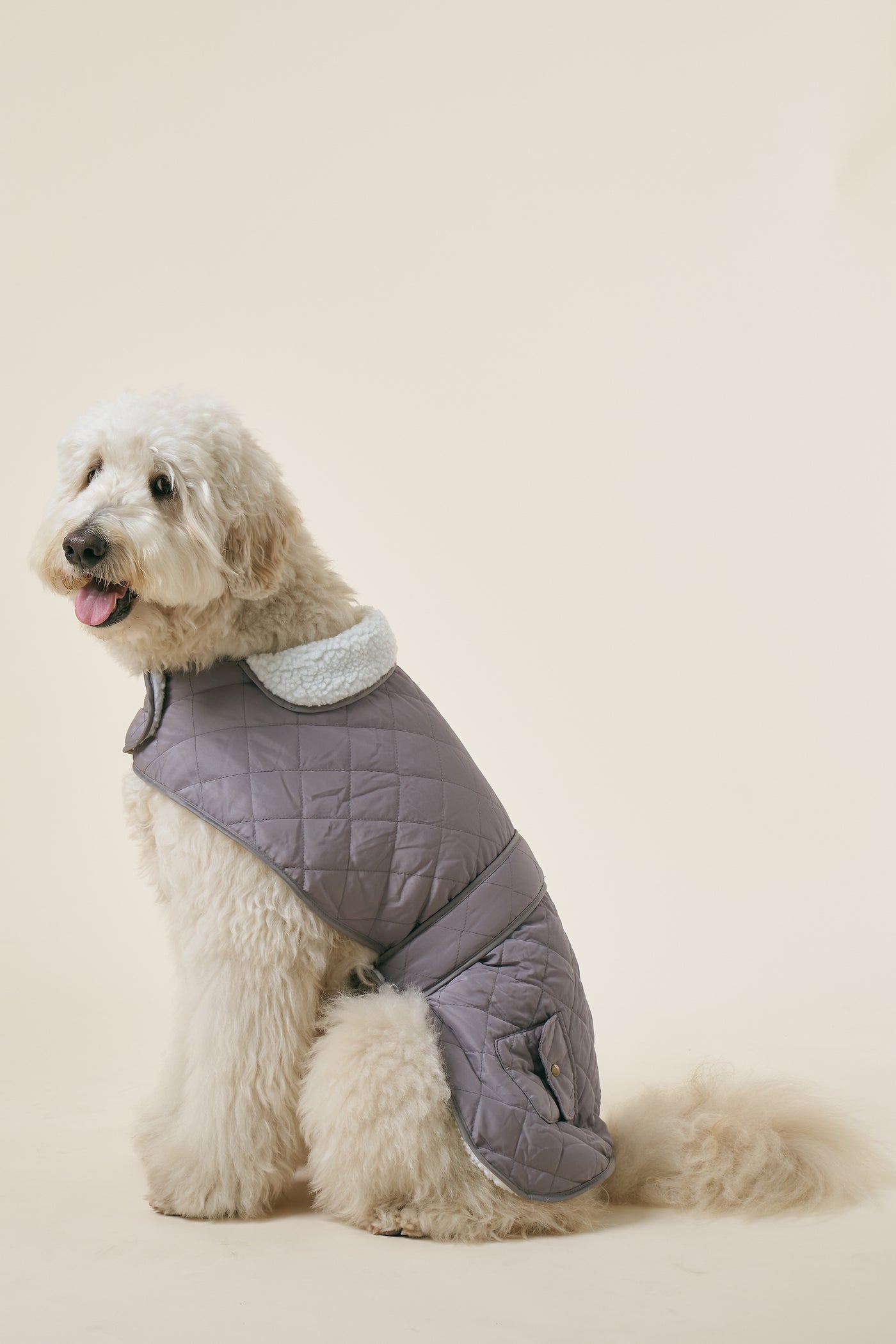 storets.com [COSONNE] Winter Quilting Coat(for pet)