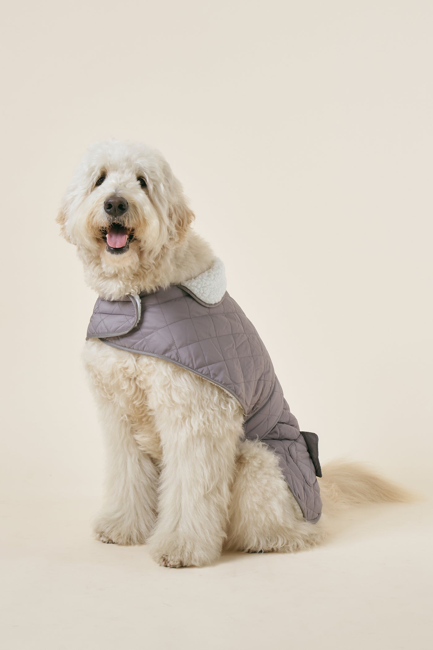 storets.com [COSONNE] Winter Quilting Coat(for pet)