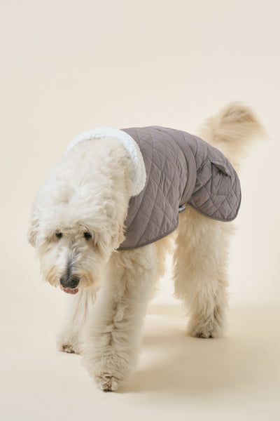 storets.com [COSONNE] Winter Quilting Coat(for pet)