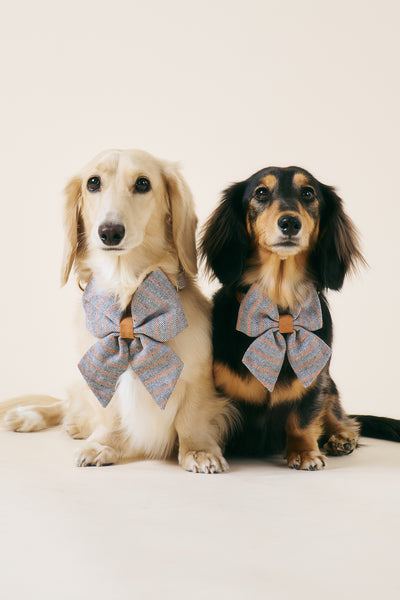 storets.com [COSONNE] Herringbone Pet Sailor Bow