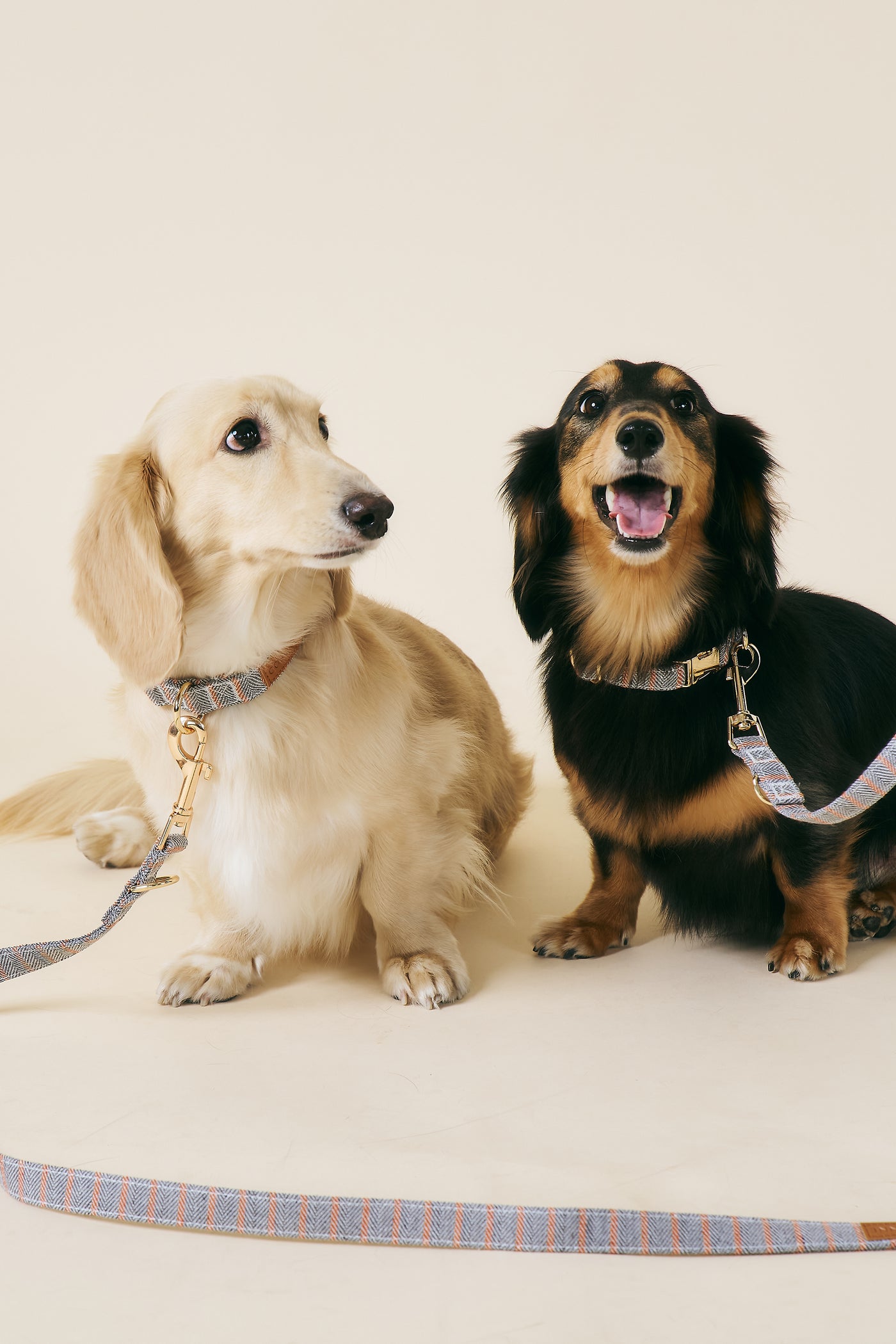 storets.com [COSONNE] Herringbone Pet Neck Collar