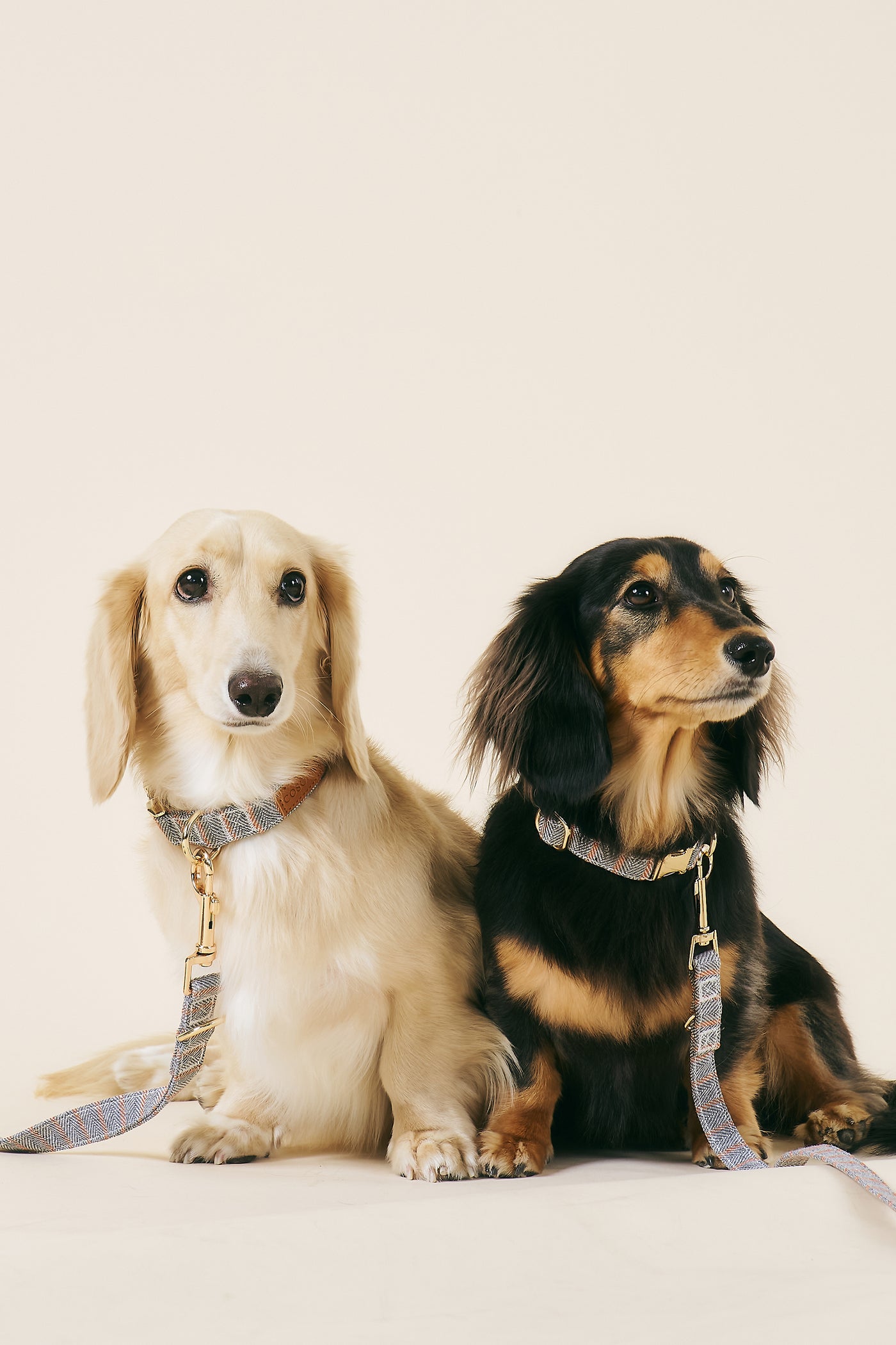 storets.com [COSONNE] Herringbone Pet Neck Collar