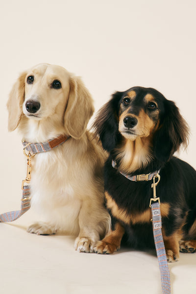 storets.com [COSONNE] Herringbone Pet Neck Collar