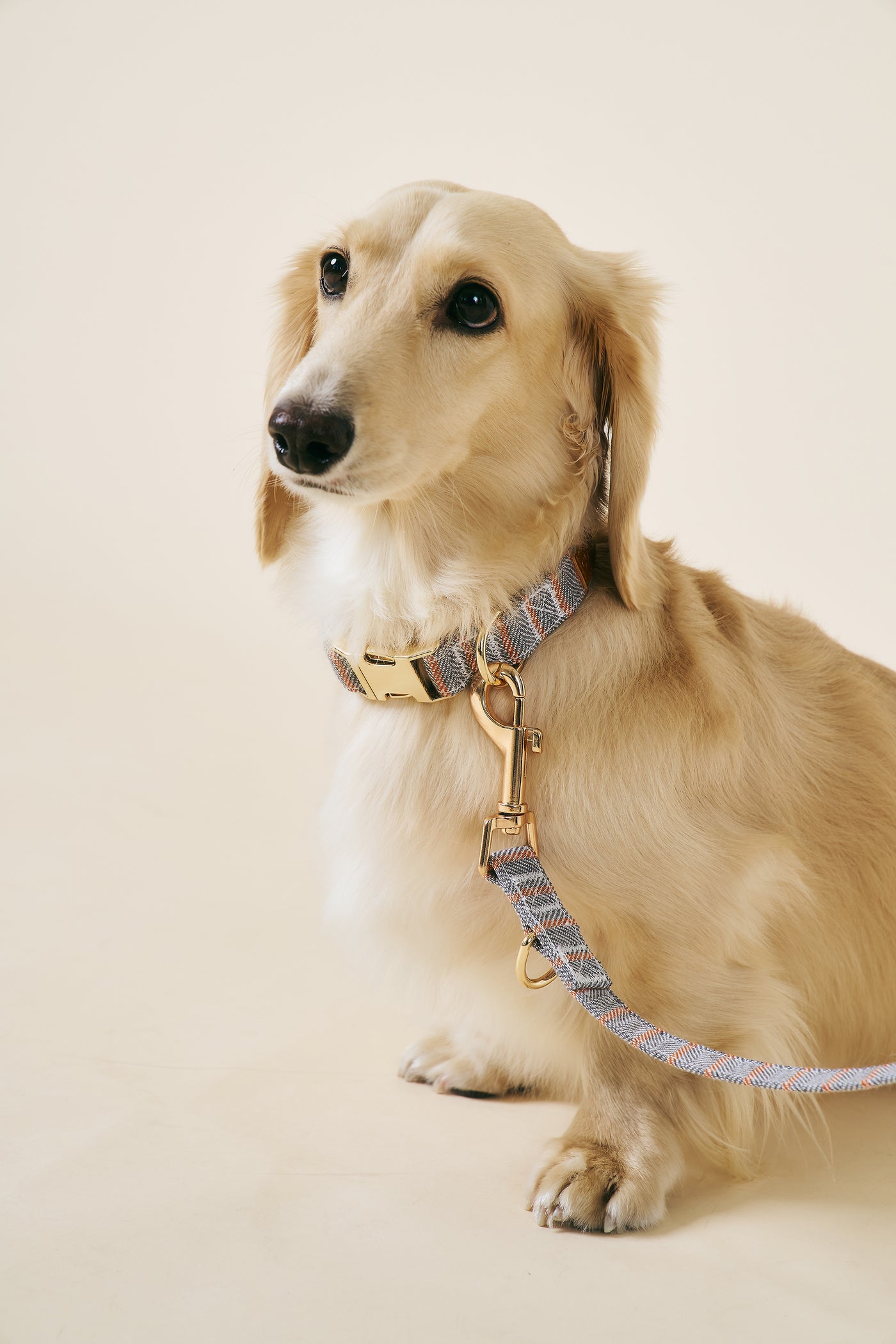 storets.com [COSONNE] Herringbone Pet Neck Collar