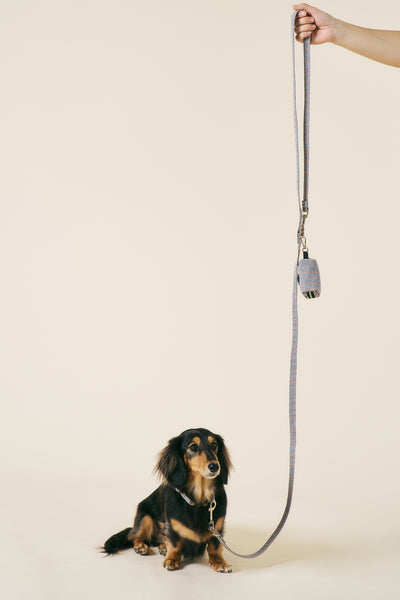 storets.com [COSONNE] Herringbone Hands-free Pet Leash