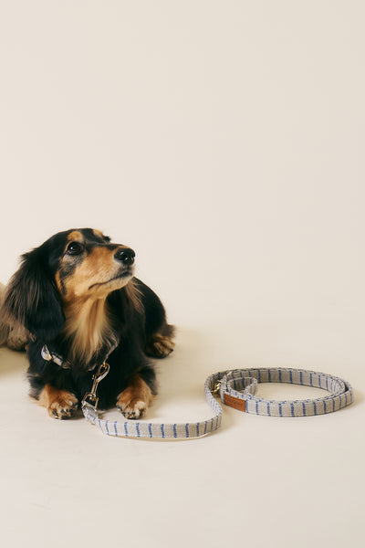 storets.com [COSONNE] Herringbone Hands-free Pet Leash