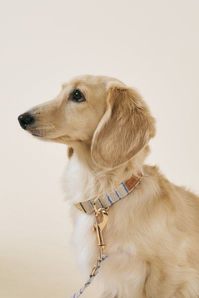 storets.com [COSONNE] Herringbone Pet Neck Collar
