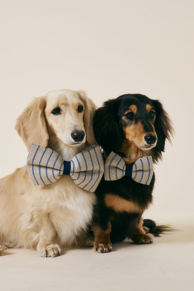 storets.com [COSONNE] Herringbone Pet Bowtie