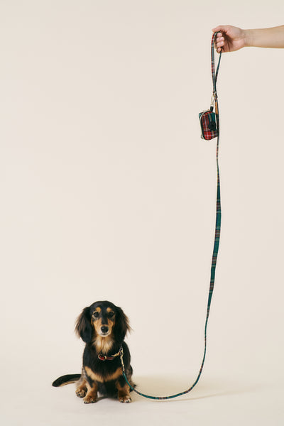 storets.com [COSONNE] Tartan Pet Waste Dispenser