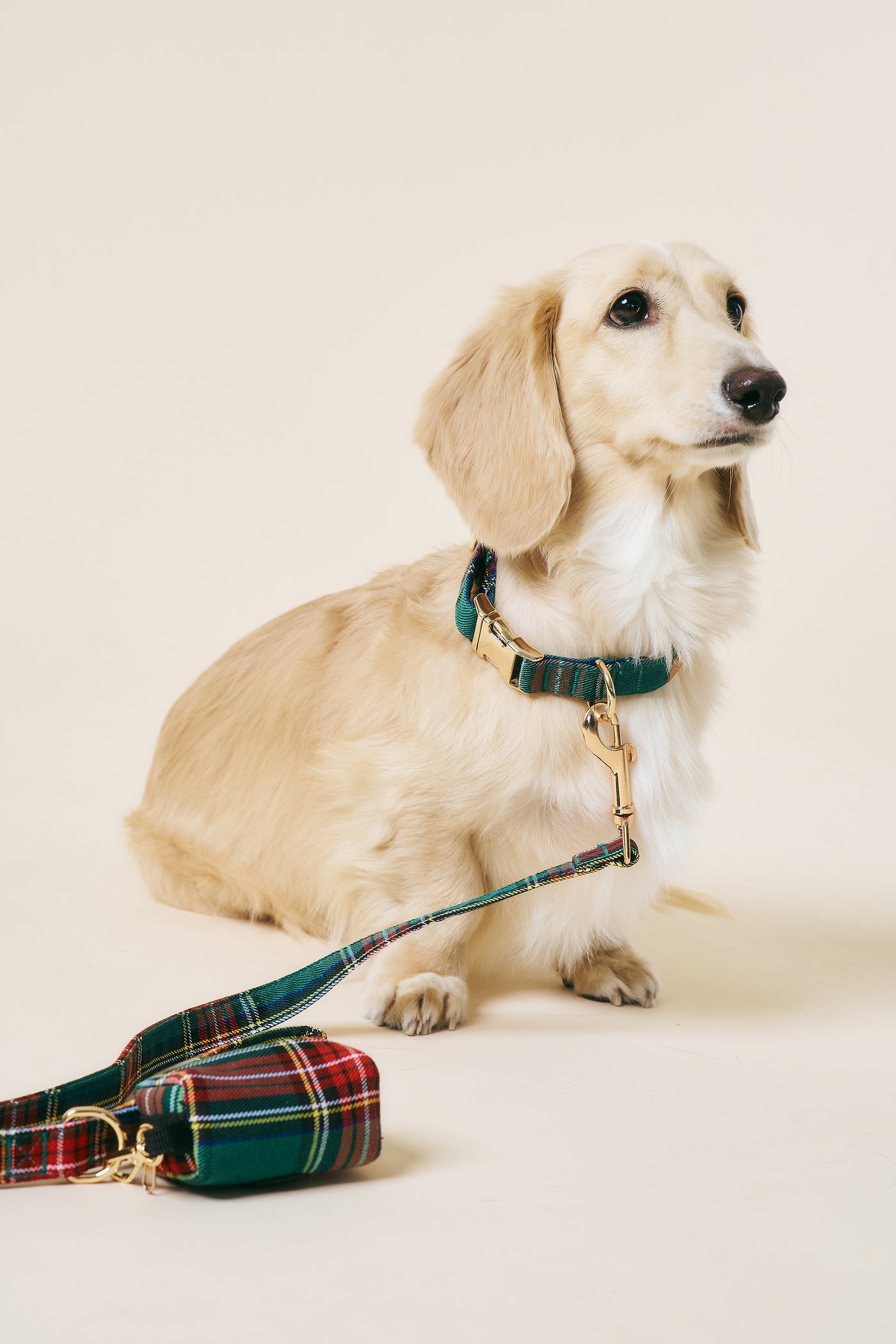 storets.com [COSONNE] Tartan Pet Neck Collar
