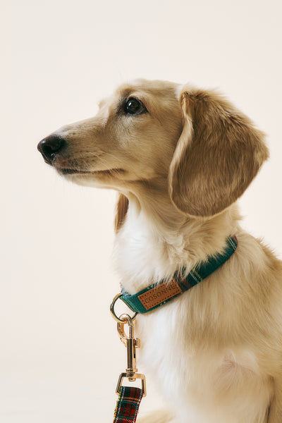 storets.com [COSONNE] Tartan Pet Neck Collar
